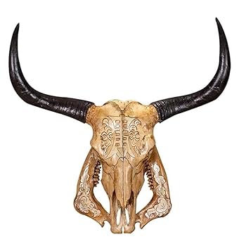 新品　壁掛けオブジェ　カウスカル　牛 頭蓋骨 新品 壁掛けオブジェ カウスカル 牛 頭蓋骨